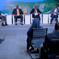 In Shirkadaha Isgadhsiintu Dadka U Heshiyaan Oo La Diiday + Kordhiyaan Qimaha Adeegyadooda + Go'aa DAAWO