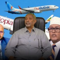 Somalia's E-Visa Plan: An Open Attack on the Sovereignty of the Republic of Somaliland
