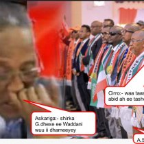 The Bads Of Country's Nationals Is The Likes Of Dictator's Wishes ( Abdi-Shotaly).