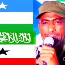 SJS commends the role of journalists in Puntland State Local Government Election