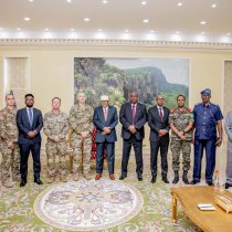 Faa'iidooyinka cajiibka ah ee toonta iyo geedka cadaygu u leeyihin caafimaadka DAAWO