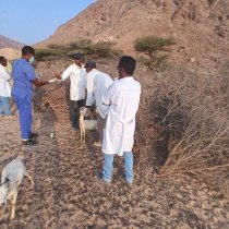 Waaxda DRM ee Dawladda Hoose Borama oo Olole Wacyigelin ka Fuliyey Deegaanno ka tirsan Borama