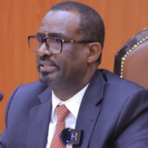 Golaha Wakiillada JSLoo ansixiyay Xeerka Hay'ada Maraynta Masiiboyinka iyo Kaydka Raashinka Qaranka DAAWO