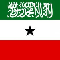 DEG DEG Seylici Oo M/Erdoğan Ugu Baaqay Inuu Dhex-dhexaad ka Noqdo Arimaha Somaliya Iyo Somaliland