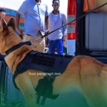 Booliska Somaliland Oo Soo Kordhiyey Drones Casri Ah Oo Loo Adeegsanayo Ammaanka