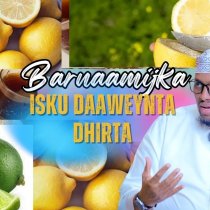 Wasaaradda Qorshaynta JSL oo Burco Ku qabatay dib u eegista Xeerka Ururrada aan dawliga ahayn. DAAWO