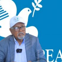 Faa'iidooyinka cajiibka ah ee toonta iyo geedka cadaygu u leeyihin caafimaadka DAAWO