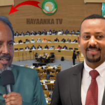 DAAWO: Somalia Iyo China Oo Kawada hadlay Ilaalinta Madax Banaanida Somaliya