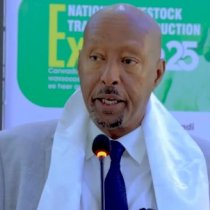 Somaliland Oo Dowladda Somaliya Ugu Baaqday in Maxaabiistii ay ka Qaaday Laascaanood ku Wareejiso ICRC