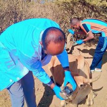 "Waad ogaydeen Dalka Qayb dhan ayaa Faraha ka Baxday oo ...'' Wasiir Cabdilaahi Baashe DAAWO