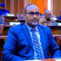 Sucuudiga oo laga helay magaalada aduunka ugu da'ada weyn DAAWO