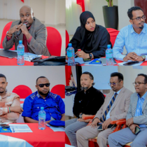 Guddida Qaban-qaabada Gogosha Nabada Sanaag oo Ka Warbixiyay Xaaladda Amniga Ceerigaabo