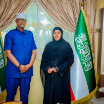 Wasiirka Maaliyadda Somaliland oo la kulmay Safiirka Denmark