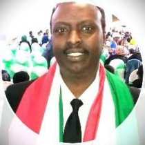 Ahmed Fiqi Inaugurates Somali Norwegian Business Summit in Mogadishu