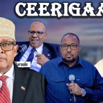 "Kulmiye Waa Xisbi Gaamuray,khilaafadkuna Waa Sunaha Xisbiyadda,macaan Jeceshu "Xildhibaan Qodax DAAWO
