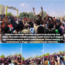 War Degdeg Ah: Golaha Deegaanka Laascaanood Oo Doortay Maayar iyo Maayar Xigeenka