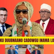 Mootoyinka oo Hargaysa ku Soo badanaaya iyo Caqabadaha ay la kulmaan dhalinyarada ku shaqaysa DAAWO