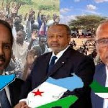 Somaliland oo mashaariic Horumarineed ka hirgelisay Haamaha Kaydka Shidaalka Berbera. DAAWO