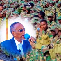 DAAWO "Dalka waxaa wareeriyey Muuse Biixi." Faysal Cali Waraabe oo ka hadlay Muranka Somaliland&Somalia.