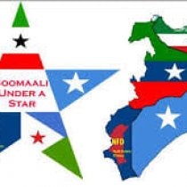 Dayacan Somaliyeey,Distorkiinu Waa Qabyaalad,Dushana Dawladaad Tahiin.