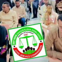 Peace Activation, And Tranquillity In Somaliland (Abdi-Shotaly).