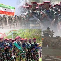 "Waxaan ugu Baaqaya Cid Kasta oo Ka-maqan Nabadda in ay Noogu Yimadaan Gogosha Nabadda" Suldaan Siciid Suldaan Cabdisalaan DAAWO