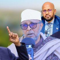 Somalia's E-Visa Plan: An Open Attack on the Sovereignty of the Republic of Somaliland