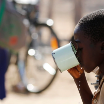 To Reveal or Not To Reveal Omicron Origins, Botswana's Dilemma