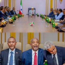 DAAWO: Hareemacad Qalliin Caafimaad Loogu Sameeyey Somaliland