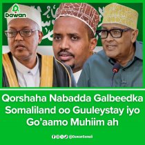 Madaxweyne Ku-xigeenka Somaliland oo Amar Adag ku Soo Rogay Ciidamada &ndash; Gacan Bir ah Lagu Wajaho Ciddii Carqaladeysa Nabadda Salel iyo Awdal