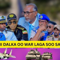 "Tolkay waxan leeyahay Xasan sheekh yaanu idinka dhigan Garoon Dagaal"Wasiir ku xigeenka Gaadiidka DAAWO