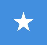 Somali forces and allied militias in Baidoa restrict media access amid political and security developments in South West State