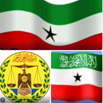 Farmajo oo si adag uga hadlay shirkii Wadatashiga Qaran oo Muqdisho lagu soo gabagabeeyay