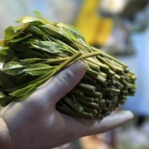 Maareeyaha Mashruuca Wajaale oo Kormeeray Hawl-gal ay ka Fuliyeen Dhul-beereedka Bariga Hargeysa