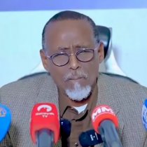 Madaxweyne Hadalkiisu Waa Dawo Ama Waa Cudur.