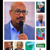 DEG DEG: Boqor Buurmadow Colaada Shirka Badhan ee Madaxweyne Xasan Shekh Wado Waan la Qaadana