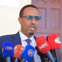 Faa'iidooyinka cajiibka ah ee toonta iyo geedka cadaygu u leeyihin caafimaadka DAAWO