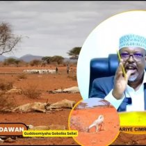 Guddoomiyaha Gobolka Selel oo ka Hadlay Abaar Ba'an oo Saamaysay Guud ahaan Nolosha Gobolka