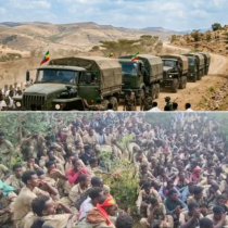 TDF oo la Sheegay inay Qabsadeen in ka Badan 20 Gaadhi oo Sahay u Siday Ciidamada Itoobiya