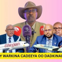 Ninkan La Leyahay Ilmadeer Baatihin Ee La Layidhi Sheer Buu La Leeyahay E-visaha, Dee Iska Cadaysta, DAAWO