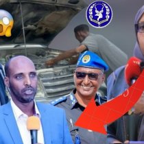 Loolanka Masar iyo Itoobiya ee Badda Cas iyo Geeska Afrika oo Soomaaliya ku riday jaho-wareer DAAWO