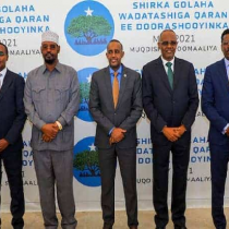 Toxins Increase in Somali Crops Under Climate Shocks
