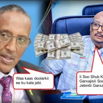 WAR_CUSUB Hay'ada Duulista Hawada Iyo Madaarada Somaliland Oo War Cuu=sub Sheegtay DAAWO