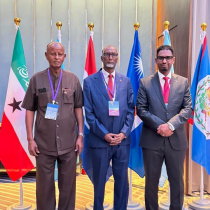 Golaha Wakiillada Somaliland oo Ka Dooday Wax-ka-beddelka Xeerka Shirkadaha iyo Xeerka Ergooyinka Diblomaasiyadeed