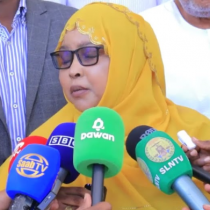 "Ictiraafka aad keentay iyo guushaad Curisay ku ciseynay Madaxweyne" Hal-Abuur Maftuux DAAWO