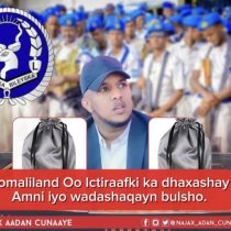 DEGDEG: "Reer Awdal Wanaag Fara Badan ayay Somaliland Gashadeen Laakiin Midhahedii May Helin" Shardi DAAWO