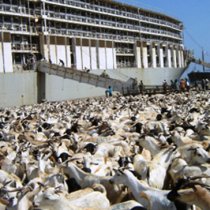 Ururada Hilaac Iyo Waaberi Oo Isku Biiraya Iyo Natiijada Wada Hadal Ay Yeesheen Ataash Iyo Samatar