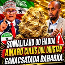 Xukuumadda Somaliland oo hadda Amaro culus dul dhigtay Ganacsatada dahabka. DAAWO