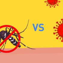 Tanzania Oo Ka Digtay Kororka Kiisaska COVID-19 iyo Dengue