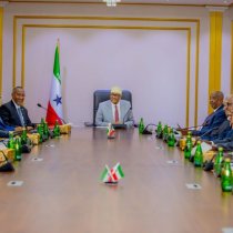 Ifafaalaha Guusha Aqoonsiga iyo Bisaylka Dublumaasiyadeed ee Jamhuudriyada Somaliland
